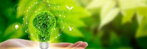 Leia mais sobre o artigo Os efeitos do pacto verde europeu nas exportações brasileiras