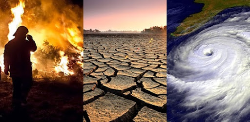 No momento, você está visualizando Ecologia Integral do Centro-Oeste pode fazer a diferença
