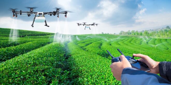 No momento, você está visualizando UVA desenvolve Inteligência artificial para agricultura
