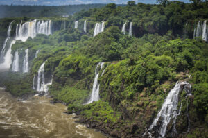 Leia mais sobre o artigo UNESCO: Florestas mais protegidas foram as que mais emitiram carbono