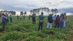 Leia mais sobre o artigo Empaer-MT desenvolve atividades da agricultura familiar em terras indígenas