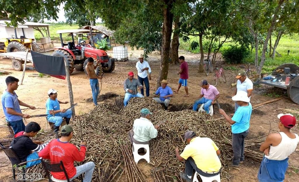 No momento, você está visualizando Paranatinga: Empaer realiza projeto em aldeia indígena Pakuera