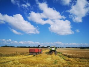 Leia mais sobre o artigo Com mais ritmo em MT, colheita de soja chega a 5% da área no Brasil