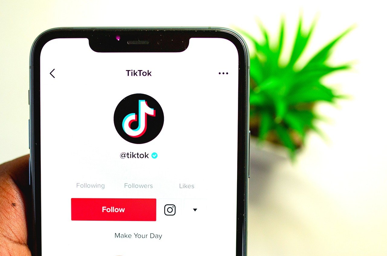 No momento, você está visualizando TIKTOK: Aprenda a usá-lo para ganhar dinheiro