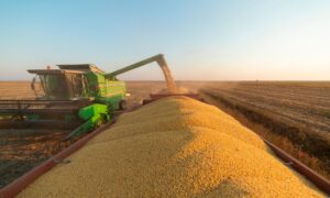 Leia mais sobre o artigo Agronegócio tem superávit de US$ 7,7 bilhões em janeiro de 2022