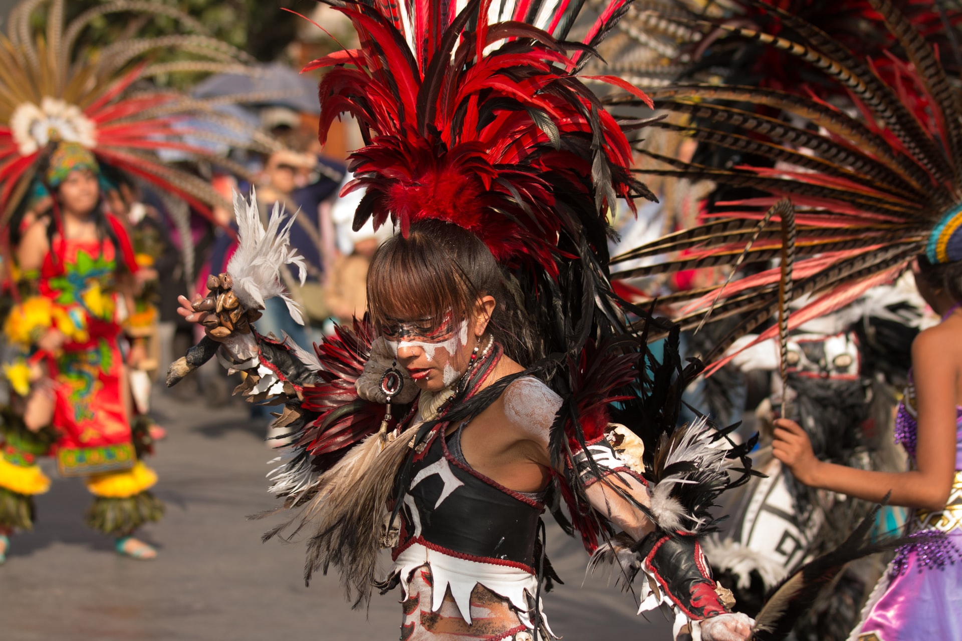 No momento, você está visualizando CARNAVAL NO TIKTOK: plataforma faz ações durante o feriado com shows e websérie