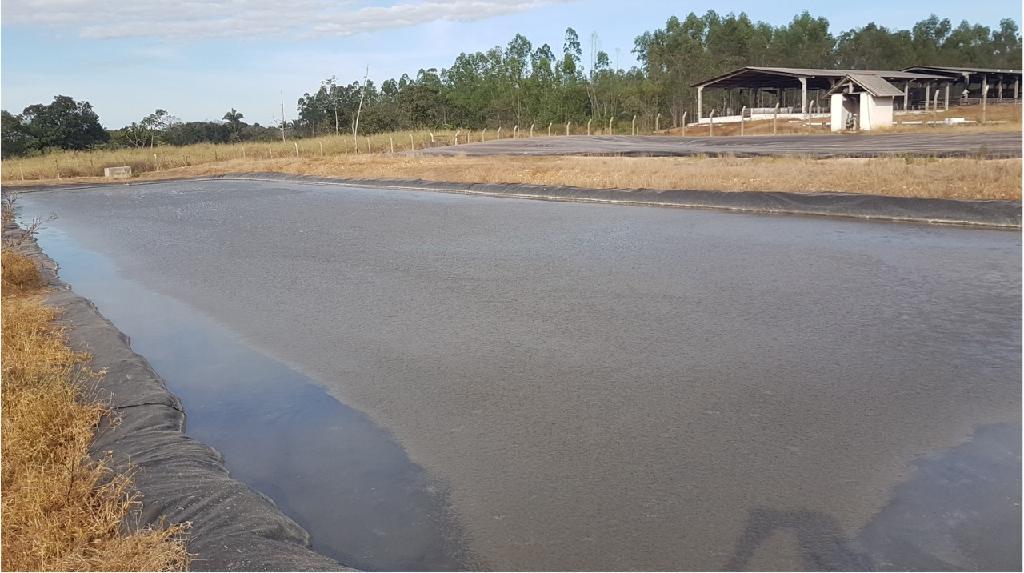 No momento, você está visualizando Pesquisa em MT desenvolve o Bio-CDots para utilização na agricultura
