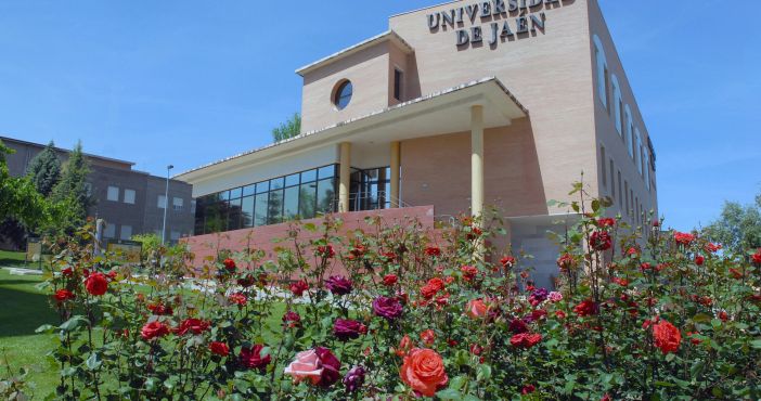 No momento, você está visualizando Universidade da Espanha oferece 128 bolsas gratuitas para brasileiros