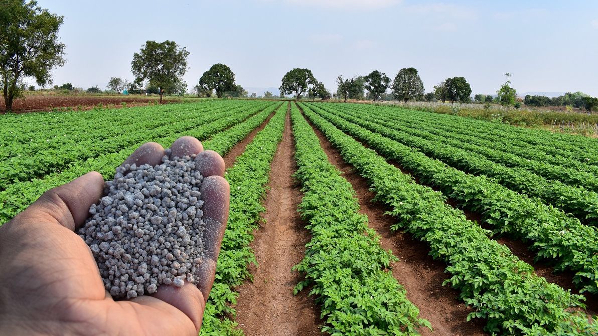 No momento, você está visualizando China proíbe as exportações de fertilizantes, entenda seus impactos