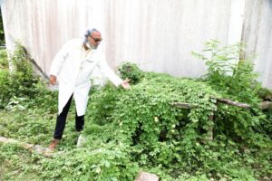 Leia mais sobre o artigo PROGRAMA FITOVIVA: Pacientes relatam benefícios de tratamento com plantas medicinais