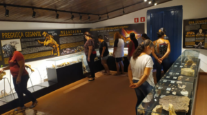 Leia mais sobre o artigo Museu de História Natural do Araguaia volta a funcionar e com entrada gratuita