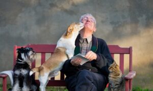 Leia mais sobre o artigo Mutações em animais ajudam a entender o envelhecimento humano