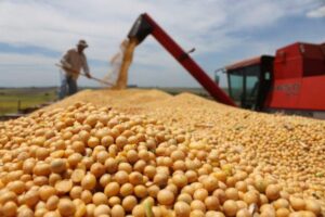 Leia mais sobre o artigo Cooperativas reforçam pedido de R$ 330 bi para Plano Safra 22/23
