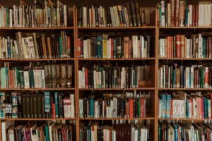 Leia mais sobre o artigo Biblioteca online gratuita é inaugurada com 15 mil livros