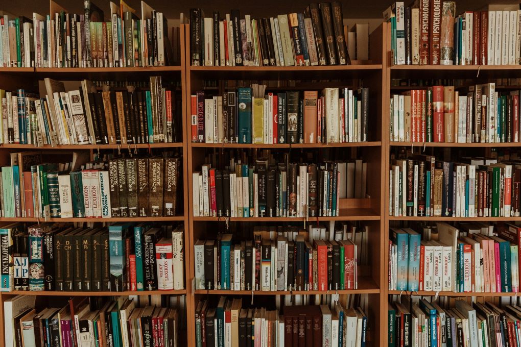 No momento, você está visualizando Biblioteca online gratuita é inaugurada com 15 mil livros