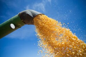 Leia mais sobre o artigo CNA solicita mais R$ 710 milhões em 2022 para seguro rural