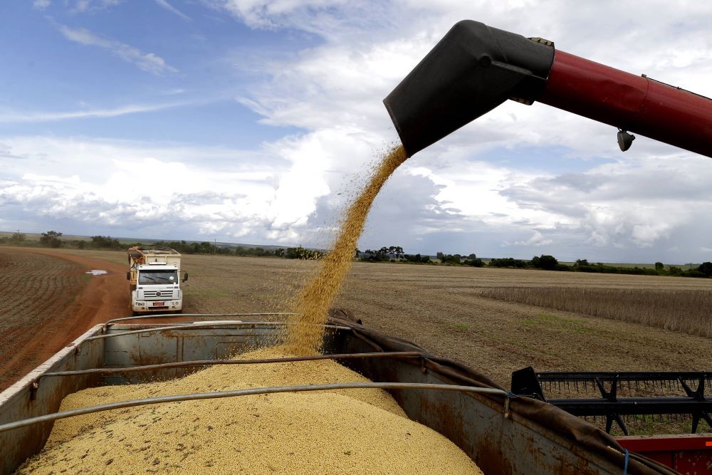 No momento, você está visualizando Produtores de soja de MT reclamam de preços dos fertilizantes