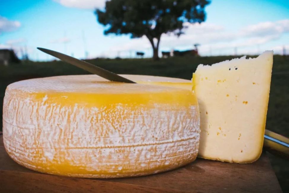No momento, você está visualizando Queijo brasileiro, o canastra, é eleito o melhor do mundo