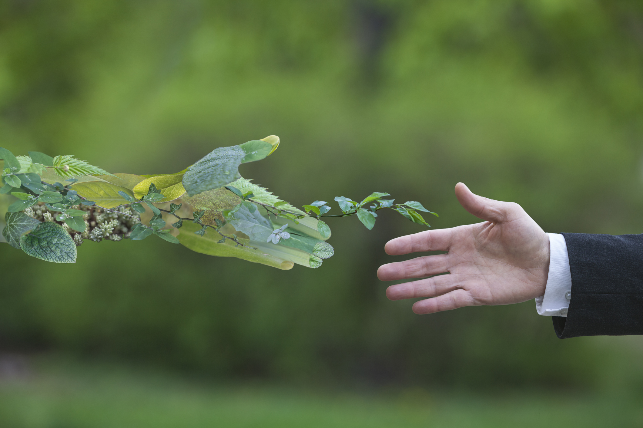 No momento, você está visualizando Sema-MT abre inscrições para Curso de Gestão Ambiental