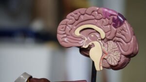 Leia mais sobre o artigo Confira 4 atitudes que ajudam a diminuir o risco de demência