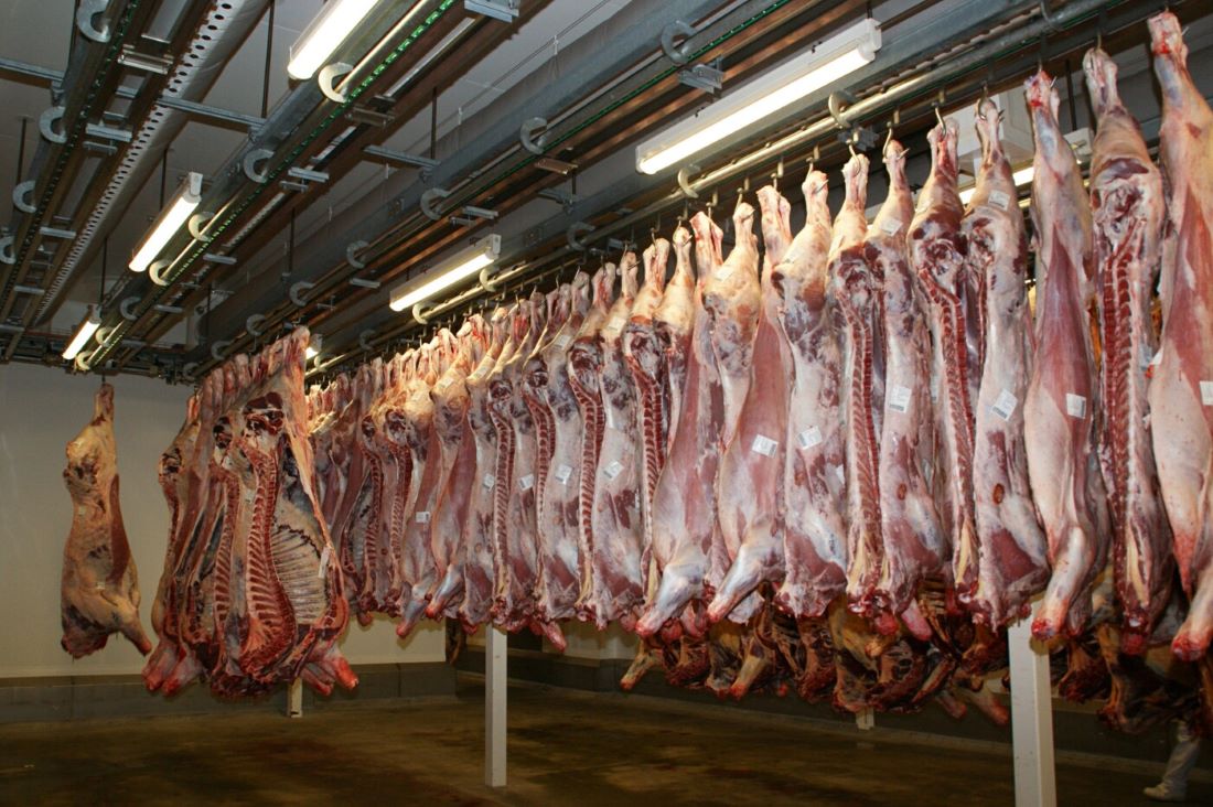 No momento, você está visualizando Exportações de carne bovina para o Egito aumentam