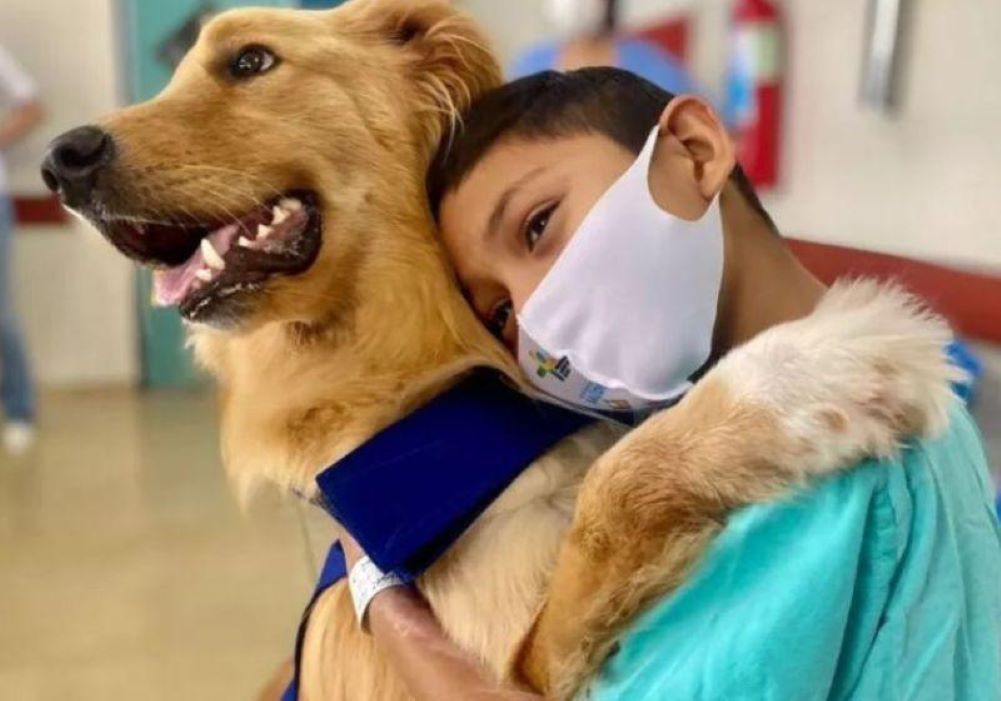 No momento, você está visualizando Alecrim, o cão que espanta medo e depressão de crianças internadas
