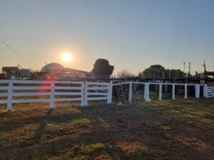 Leia mais sobre o artigo Sindicato Rural de Juína anuncia a implantação do CT do Senar