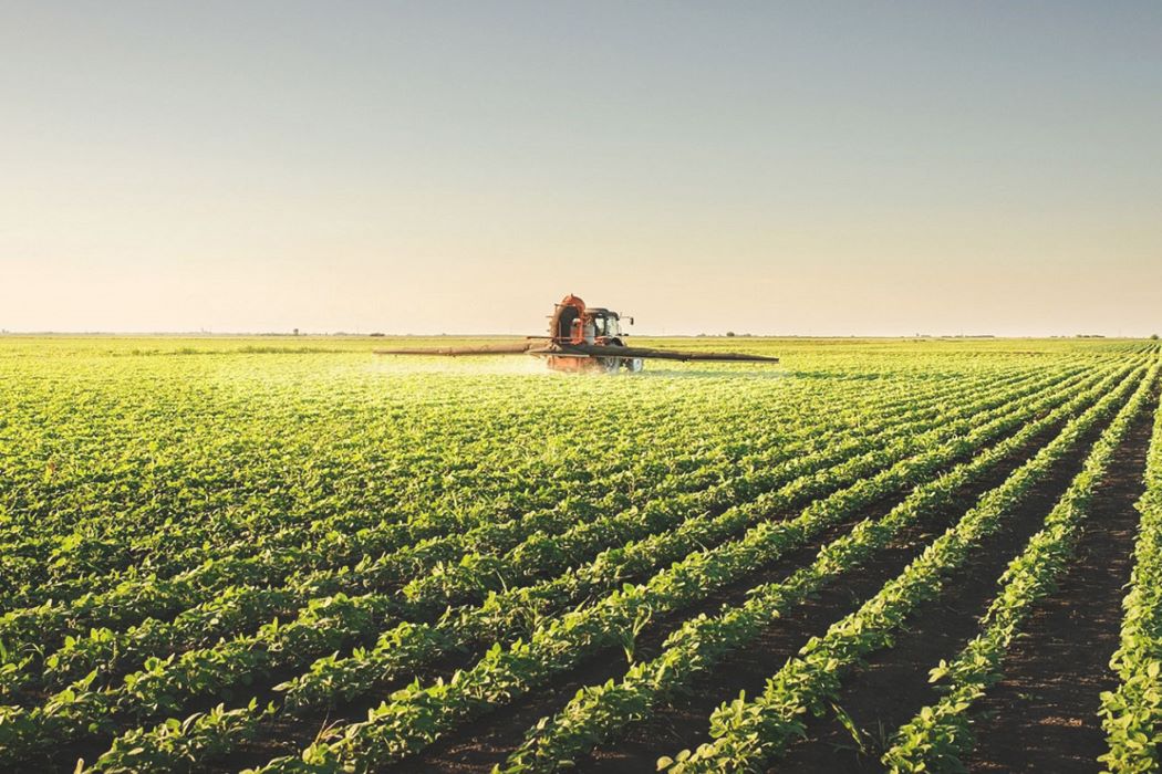 No momento, você está visualizando Percepção sobre o agronegócio é positiva em 7 de cada 10 pessoas
