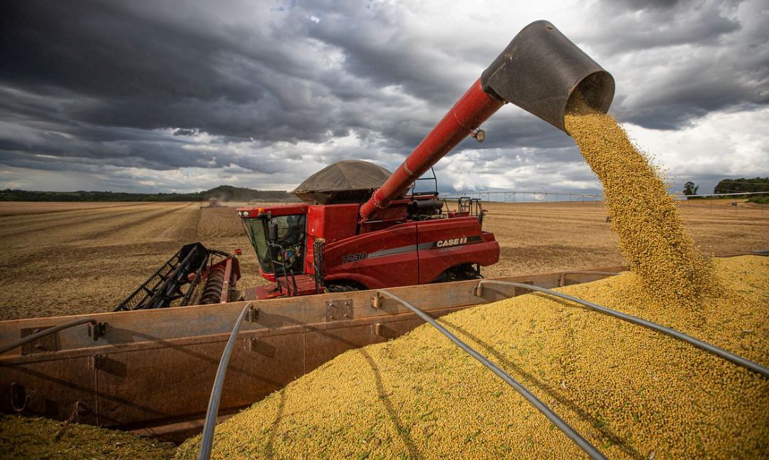 No momento, você está visualizando Brasil deve colher safra agrícola recorde em 2022