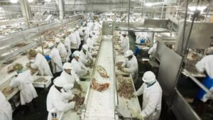 Leia mais sobre o artigo Várzea Grande abre vagas de emprego para indústria frigorífica