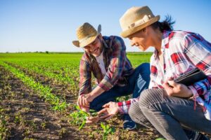 Leia mais sobre o artigo Agricultura familiar terá novo cadastro a partir desta terça-feira (1)