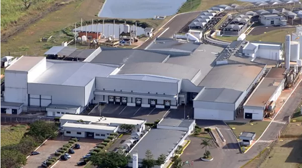 No momento, você está visualizando MT: Marfrig abre 156 vagas em unidades frigoríficas