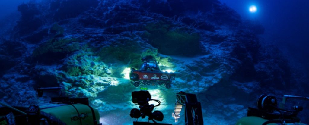 No momento, você está visualizando Oásis “inédito” é encontrado nas profundezas do oceano