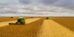 Leia mais sobre o artigo Agricultura familiar pode ser beneficiada pelo Crédito Rural