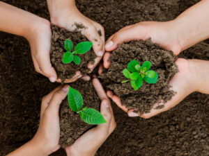 Leia mais sobre o artigo FORMAÇÃO EM ECOLOGIA QUANTITATIVA: Inscrição até 8/11