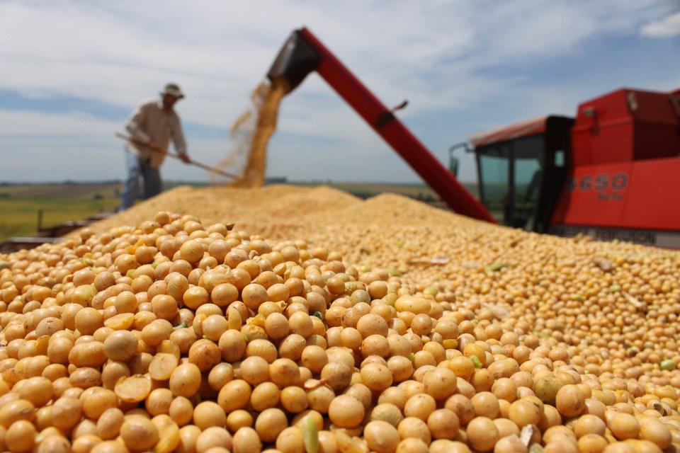 No momento, você está visualizando Mato Grosso recebe investimentos no Agronegócio