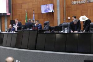 Leia mais sobre o artigo Botelho quer fortalecer comissões para avançar na fiscalização
