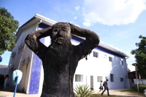 Leia mais sobre o artigo Conscientização sobre a Esquizofrenia deve difundir informações