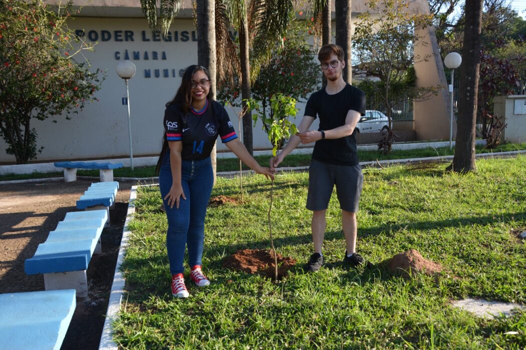 No momento, você está visualizando Jovem planta 23 mil árvores em 24 horas e entra para o Guinness