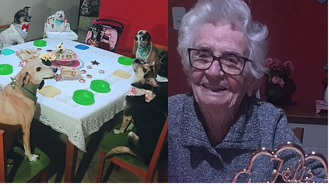 No momento, você está visualizando Idosa comemora aniversário com seus cães ao redor, em vídeo