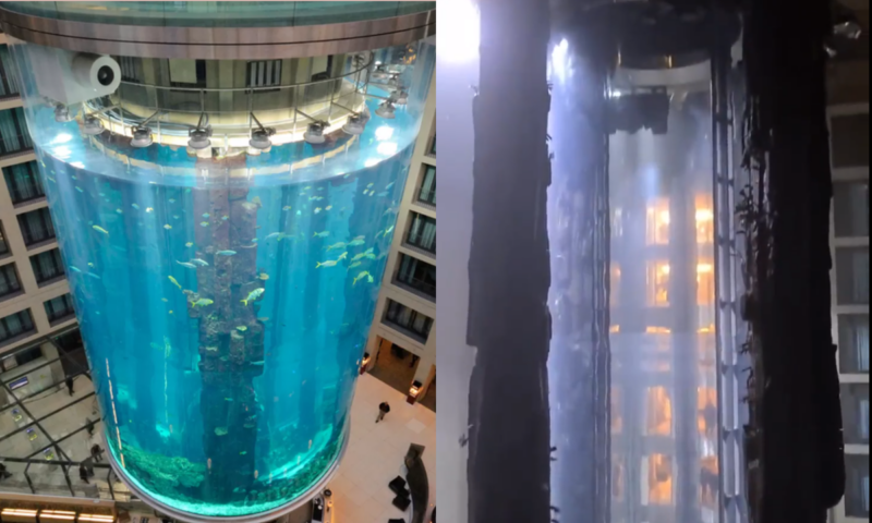 No momento, você está visualizando Aquário gigante com 1.500 peixes explode na Alemanha