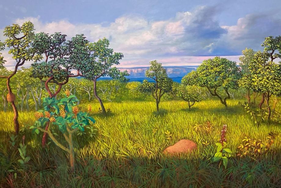 No momento, você está visualizando Exposição de Miguel Penha fica aberta ao público até domingo