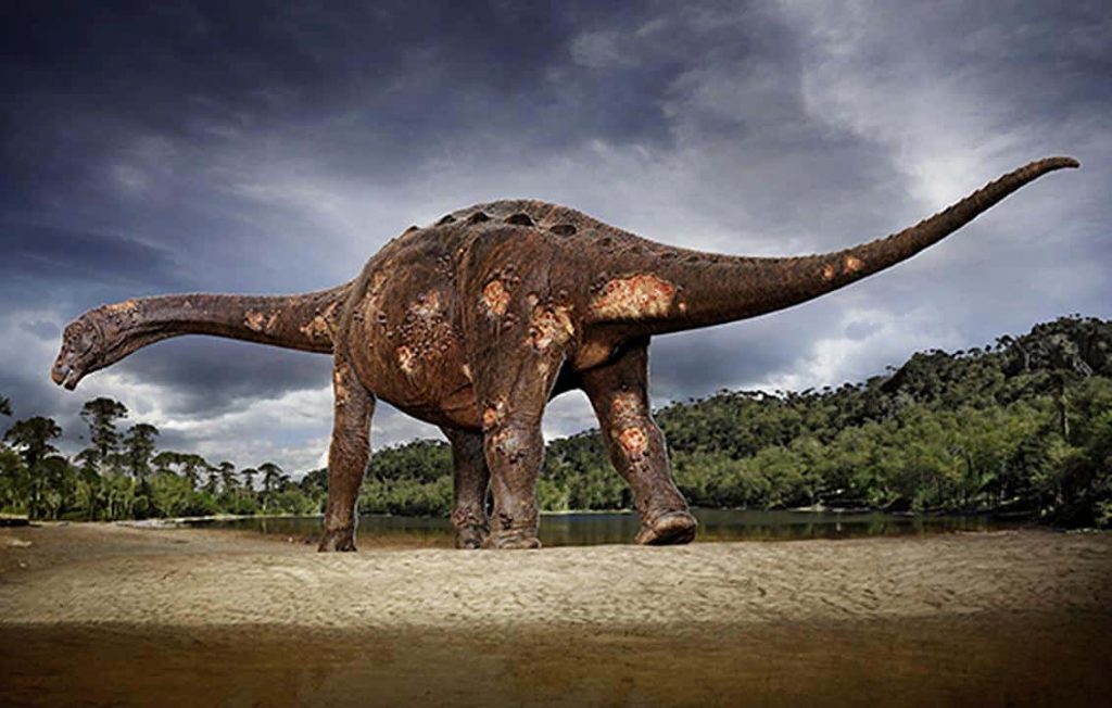 No momento, você está visualizando Fósseis de dinossauro são encontrados por acidente em SP