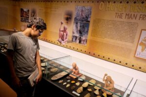 Leia mais sobre o artigo Livro sobre história natural de Mato Grosso será lançado nesta quinta-feira (15)