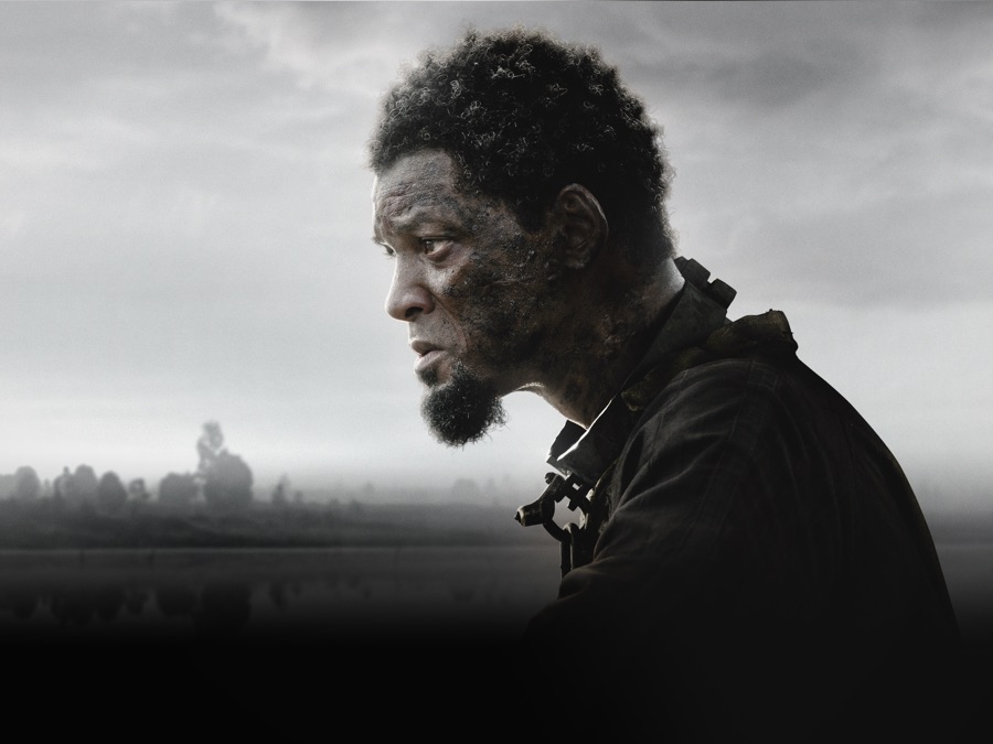 No momento, você está visualizando Will Smith libera 2 meses de streaming grátis