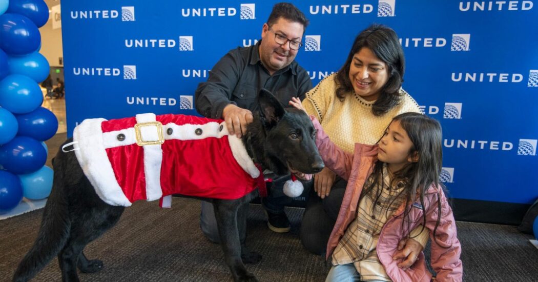 No momento, você está visualizando NOVA FAMÍLIA: Piloto adota cãozinho abandonado em aeroporto