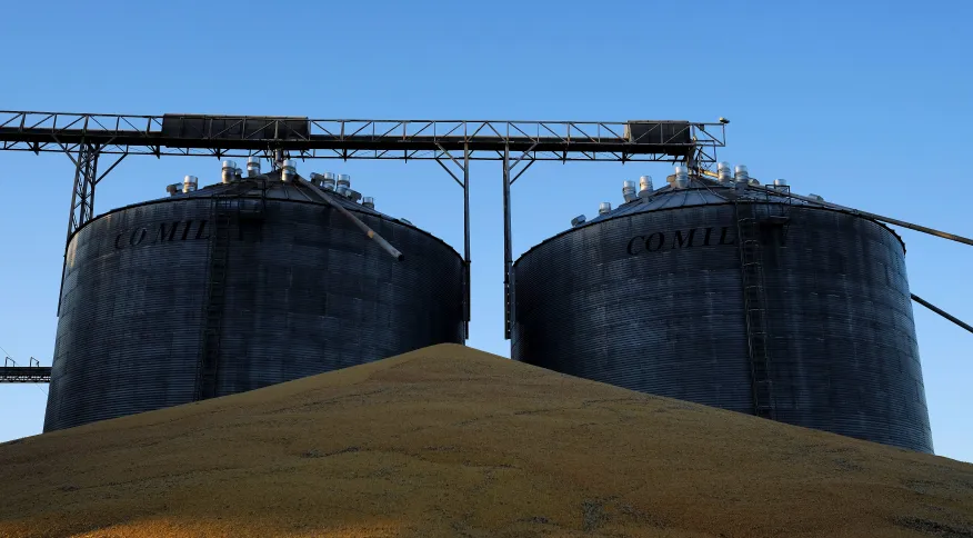 No momento, você está visualizando Agronegócio deve ter maior crescimento desde 2017