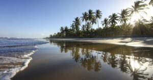 Leia mais sobre o artigo Confira 6 itens indispensáveis para curtir o verão no Nordeste