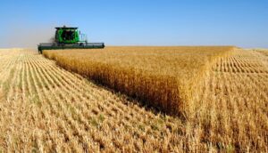 Leia mais sobre o artigo Mato Grosso projeta crescimento de 3,7% do PIB, com agronegócio