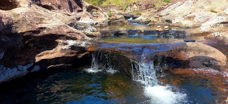 No momento, você está visualizando TV Cultura estreia, nesta quinta (12), minissérie sobre o cerrado